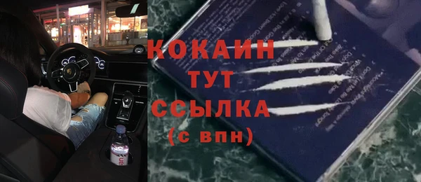 ПСИЛОЦИБИНОВЫЕ ГРИБЫ Лабытнанги