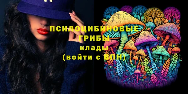 ПСИЛОЦИБИНОВЫЕ ГРИБЫ Лабытнанги