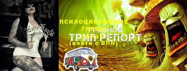 apvp Ладушкин